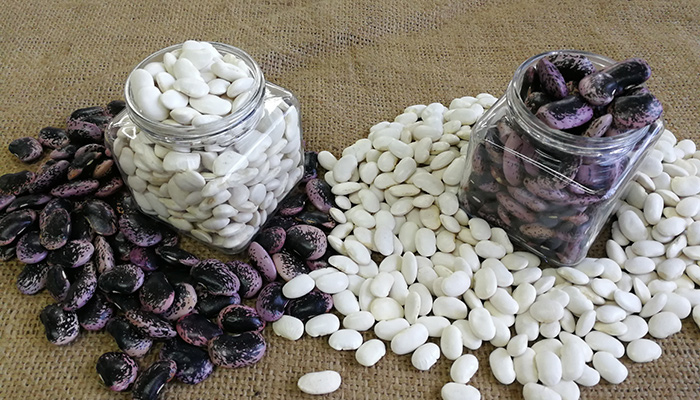蕓豆批發(fā)價(jià)